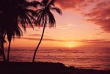 Hawaiian Sunset Mural